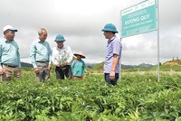 Cạnh tranh ngành dược sẽ đi vào chiều sâu