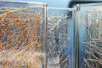 Bên trong sản phẩm bê tông cốt sợi