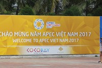 Doanh nghiệp APEC ưu tiên phát triển kinh tế số và sáng tạo