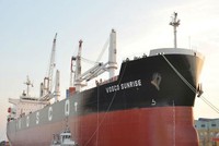 VOS đã thua lỗ quý thứ 11 liên tiếp