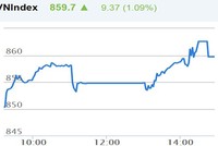 Phiên chiều 8/11: ROS, SAB giảm sâu, VN-Index vẫn lập đỉnh mới
