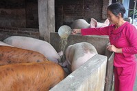 Tính đến 30/9/2017, đã có gần 31,9 triệu lượt hộ nghèo và các đối tượng chính sách khác được vay vốn, với doanh số cho vay đạt 433.245 tỷ đồng