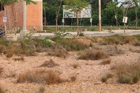 Dự thảo quy định mới về tách thửa của TP.HCM được đánh giá sẽ giúp cho thị trường đất nền TP.HCM phát triển bền vững. Ảnh: Việt Dũng