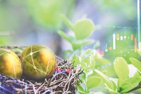 Chứng khoán xanh đã bắt đầu “nảy mầm”