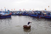 Các nhà bảo hiểm đã khẩn trương phối hợp cùng khách hàng khắc phục thiệt hại do cơn bão số 12 gây ra, nhanh chóng ổn định đời sống và sản xuất - kinh doanh 