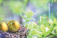 VN-Index vào Top 3 thế giới: Bình thường hay bất thường?