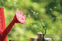 Nhân lên những “hạt giống xanh”