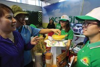 Tập đoàn Lộc Trời: Mảng gạo vẫn lỗ lớn