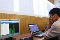 Bắt được tội phạm đã khó, xử phạt để răn đe còn khó hơn, vì hình phạt cả về tiền và tù đều chưa đủ nghiêm khắc