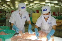 HVG đang lỗ lũy kế 132 tỷ đồng, cách rất xa đích lợi nhuận 700 tỷ đồng năm 2017