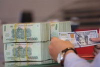 Năm 2017, lượng kiều hối tính riêng tại TP.HCM ước đạt 5,2 tỷ USD, tăng 4,5% so với năm 2016