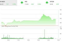 Phiên chiều 29/12: Sắc Xuân xanh