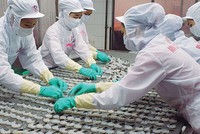 Với kết quả lợi nhuận khả quan trong năm 2017, giá cổ phiếu MPC đang có dấu hiệu phục hồi