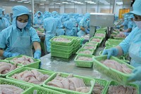 Kim ngạch xuất khẩu 2017 của Việt Nam đạt con số kỷ lục 214 tỷ USD