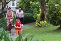 Cuộc sống hòa quyện thiên nhiên