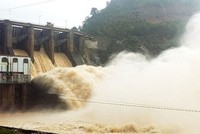 Thủy điện - Điện lực 3 (DRL) thông báo trả cổ tức bằng tiền mặt, tỷ lệ 20%