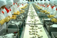 Ngành tôm phấn đấu kim ngạch xuất khẩu tăng trên 10%/năm