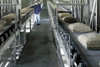 Ngành xi măng đối mặt bài toán dư cung