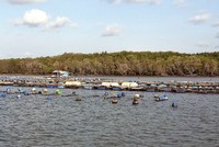 TP. HCM duyệt quy hoạch Khu đô thị Cần Giờ