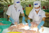 Lỗ nặng hai năm liên tiếp, HVG phải nỗ lực rất nhiều mới mong đưa cổ phiếu ra khỏi diện kiểm soát