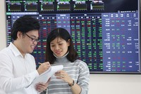 Khối các công ty chứng khoán đã có một năm 2017 với mức tăng trưởng ấn tượng