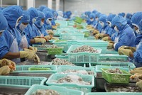 Tôm là sản phẩm chủ lực, đóng góp tới 46% kim ngạch xuất khẩu thủy sản của Việt Nam năm 2017