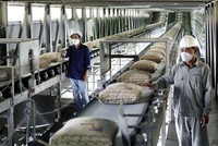 Từ 1/2/2018, xuất khẩu xi măng sẽ không chịu thuế VAT. Ảnh: Gia Huy