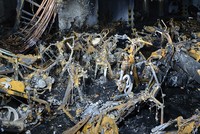 Vụ cháy tại Chung cư Carina gây thiệt hại rất lớn về con người và tài sản