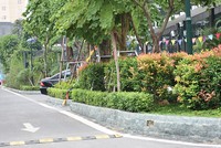 Không gian xanh tại EcoLife Capitol