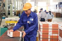 VHL lãi 30 tỷ đồng trong quý I