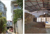 Phía sau sự lao dốc của cổ phiếu TLD