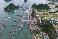 Thủ tướng yêu cầu không để “cò đất” lộng hành ở đặc khu