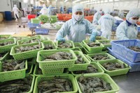 Nhiều doanh nghiệp thủy sản Việt Nam đang đẩy mạnh xuất khẩu chính ngạch sang thị trường Trung Quốc