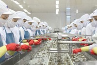 MPC lãi hơn 195 tỷ đồng trong quý I