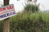 Quảng Ninh muốn tạm dừng chuyển nhượng đất ở huyện Vân Đồn