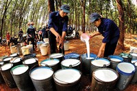 Kế hoạch doanh thu và lợi nhuận cao mà GVR đề ra phụ thuộc nhiều vào mặt bằng giá cao su trong thời gian tới