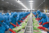 VHC: Giá trị xuất khẩu tháng 4 đạt 29,8 triệu USD