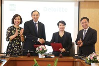 Nên đưa báo cáo tài chính về một ngôn ngữ