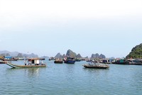 Khu vực Vân Đồn đang vào tầm ngắm của nhiều nhà đầu tư. Ảnh: Đức Thanh