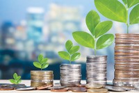 Đầu tư quỹ mở cổ phiếu so với tự đầu tư cổ phiếu