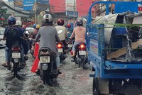 Tốt nhất, nên đi xem nhà khi trời mưa hoặc triều cường