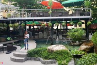 Quận nào ở TP.HCM cũng có đất công bỏ hoang, xẻ thịt cho thuê giá bèo