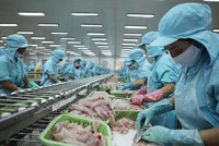 Tháng 5, kinh tế tiếp tục chuyển biến tích cực