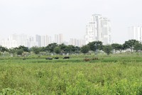 Nở rộ mốt “xí phần” dự án để sang tay kiếm lời