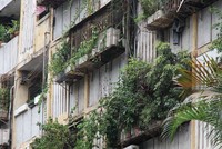 Hà Nội hiện có nhiều khu chung cư cũ đã xuống cấp nghiêm trọng