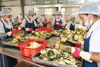 Tổng công ty Rau quả, nông sản chưa có kế hoạch lên sàn