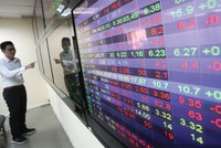 15 cá nhân tham gia đợt phát hành 24,5 triệu cổ phiếu HID