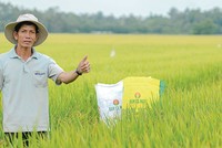 Bộ sản phẩm mang thương hiệu “Đạm Cà Mau – Hạt Ngọc Mùa Vàng” đã trở thành lựa chọn hàng đầu của nông dân 
