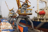 HAH lên kế hoạch tăng doanh thu, giảm lãi