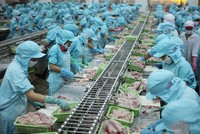 Hầu hết các doanh nghiệp thủy sản Việt Nam đều đang có kế hoạch đẩy mạnh xuất khẩu sang Trung Quốc